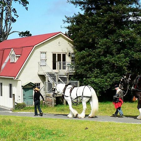 The Carriage House-Bay Of Islands Βίλα Kerikeri Εξωτερικό φωτογραφία